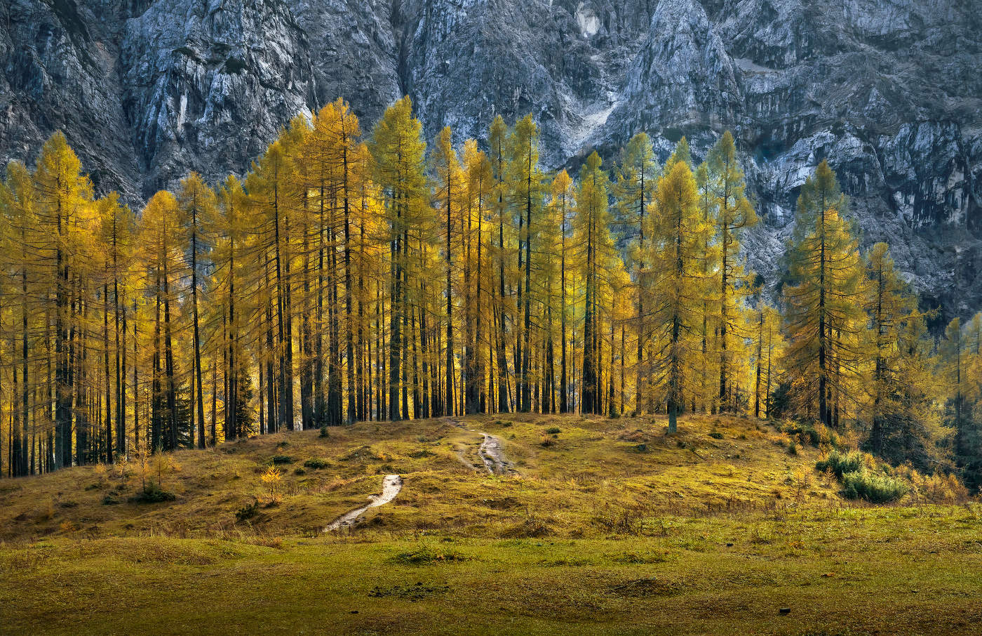 Цвета Осени...
