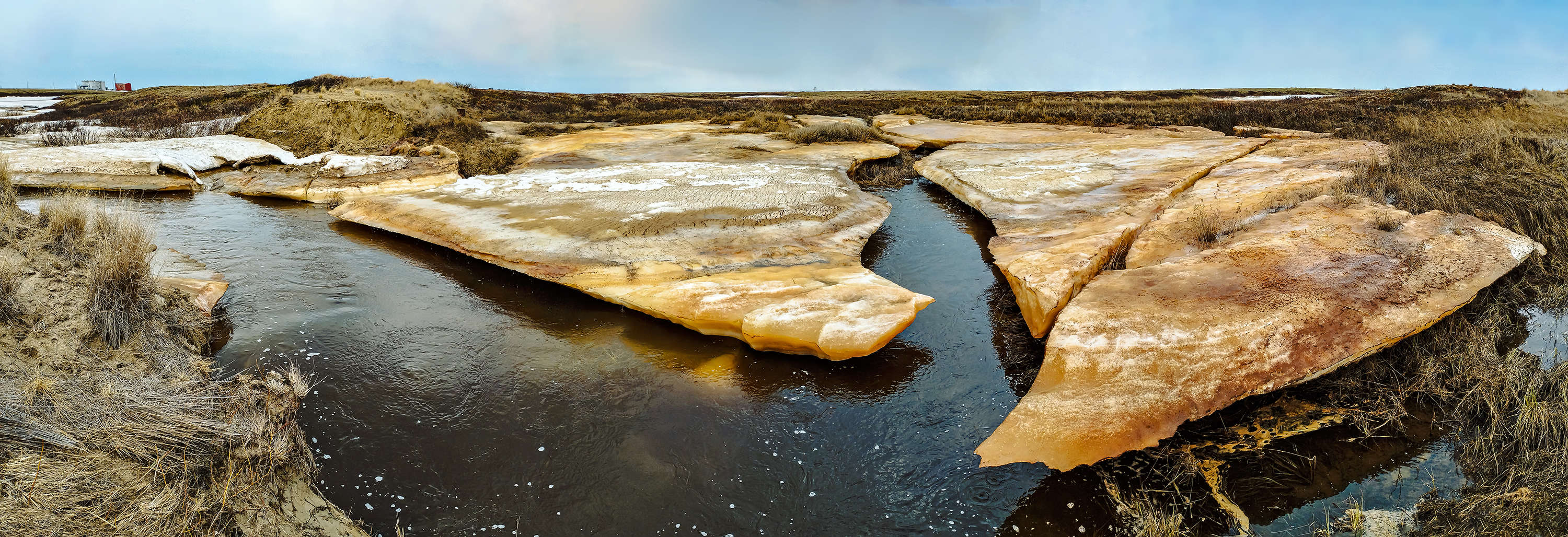 Весна в тундре