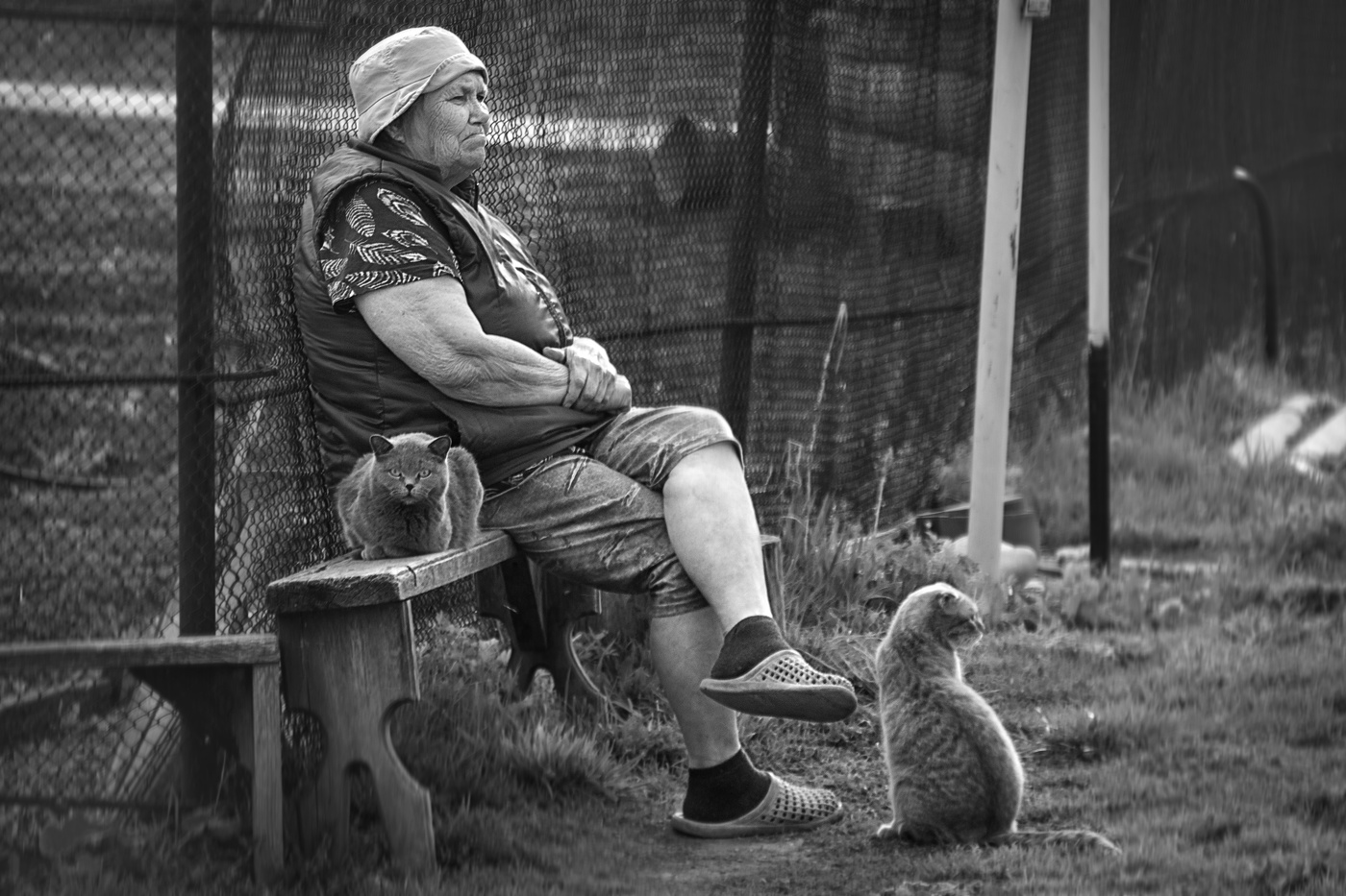 Среда обитания