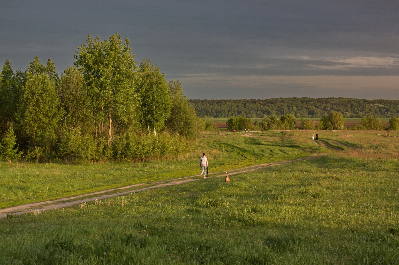 Вечерний променад.