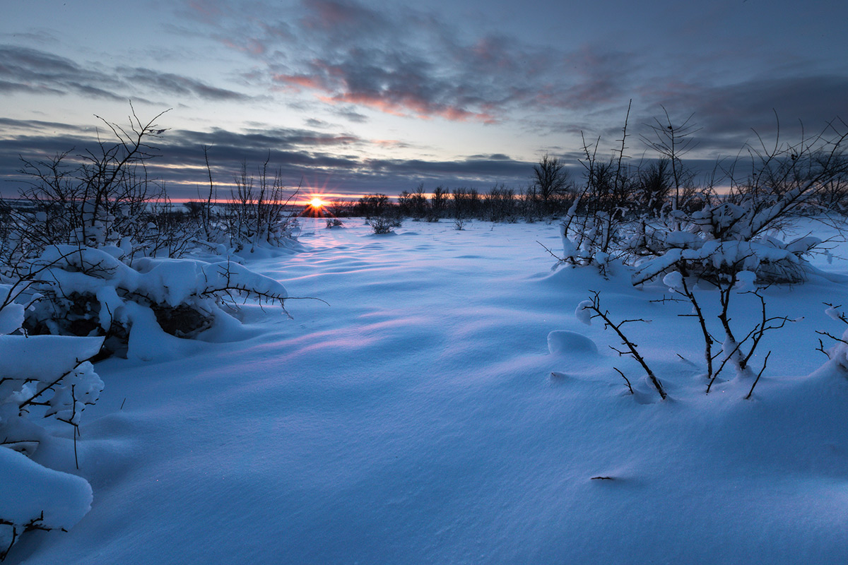 Утро в январе