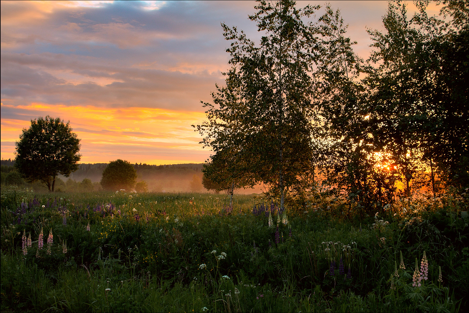 చాలా సున్నితమైన సాయంత్రం