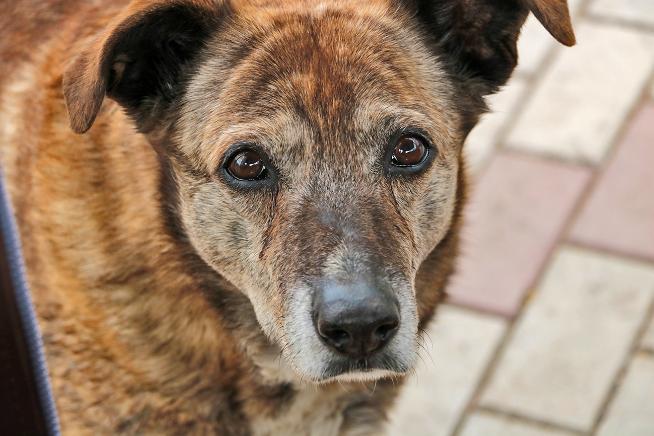 Эти глаза напротив...
