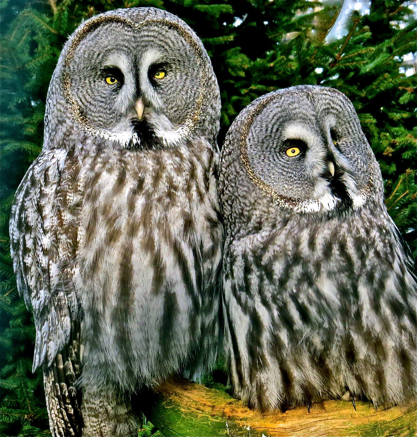 Вместе – на всю жизнь