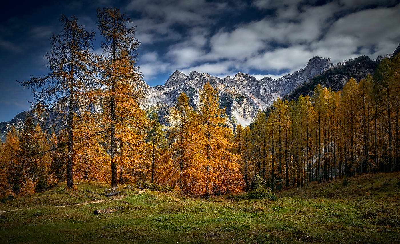 Цвета Осени...