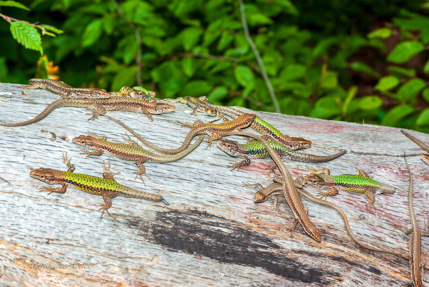 Там где люди бывают нечасто.
