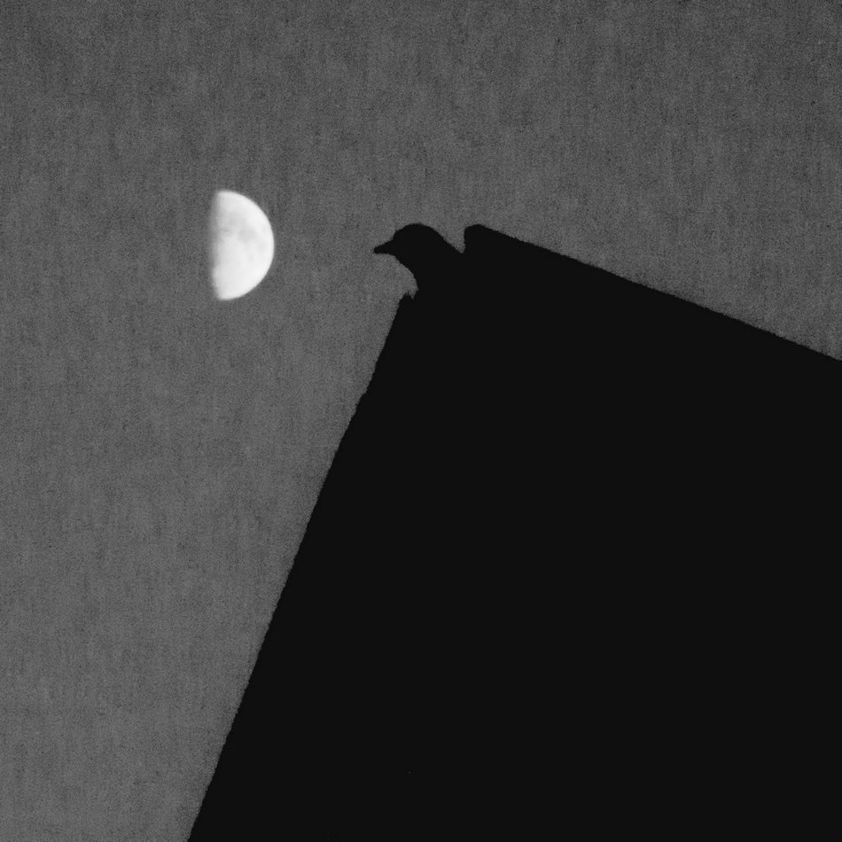 Жизнь вокруг