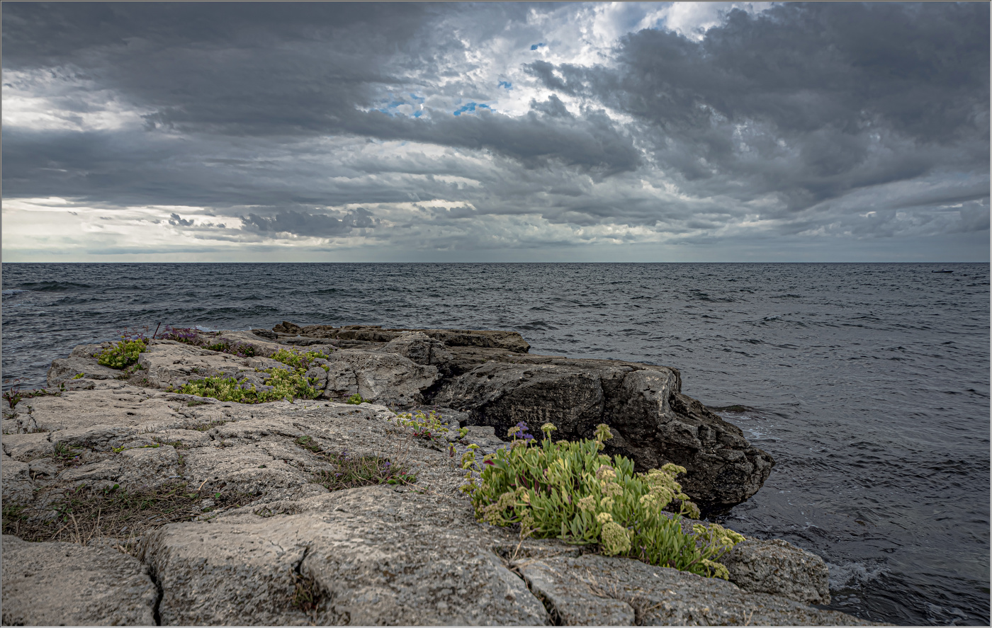 Крымский берег