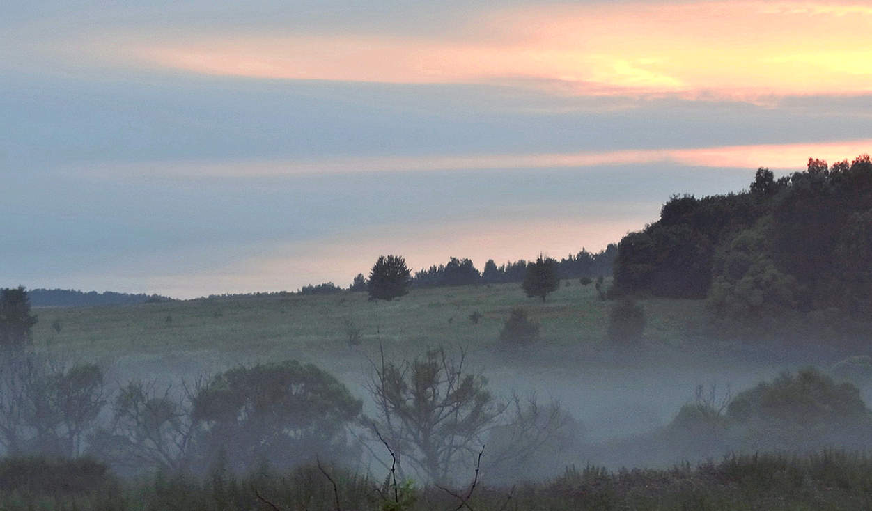 Утром туман опустился в ложбину