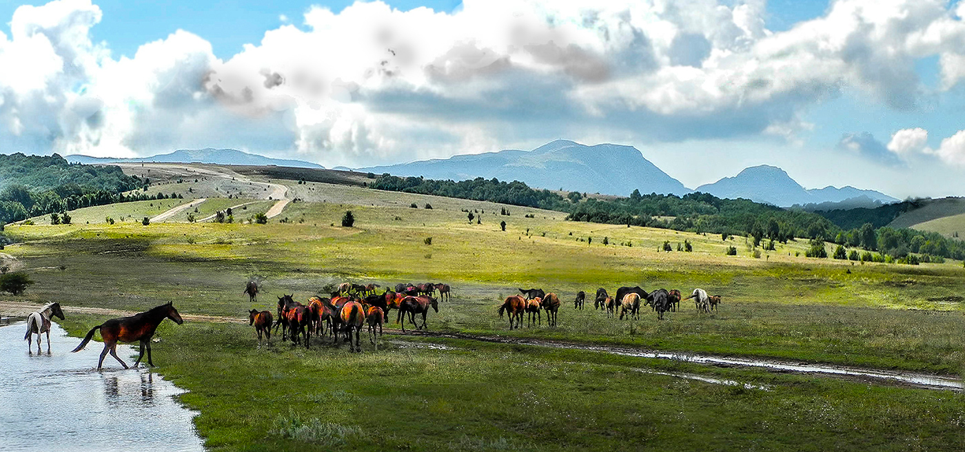 Крымская яйла