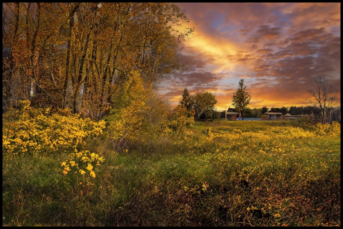 Деревня Дудкино