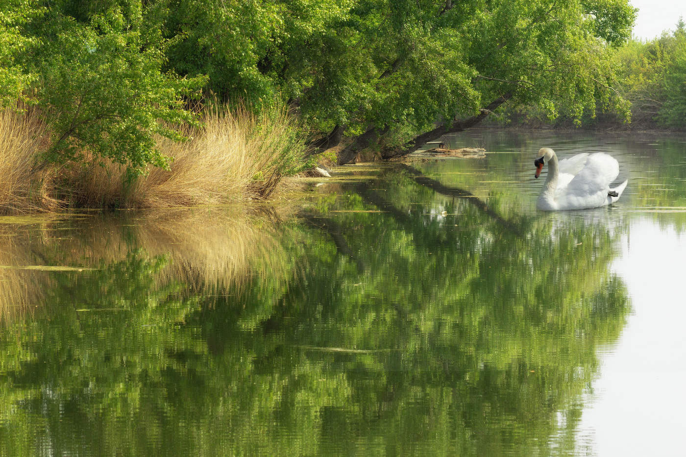 В рукаве Тобола