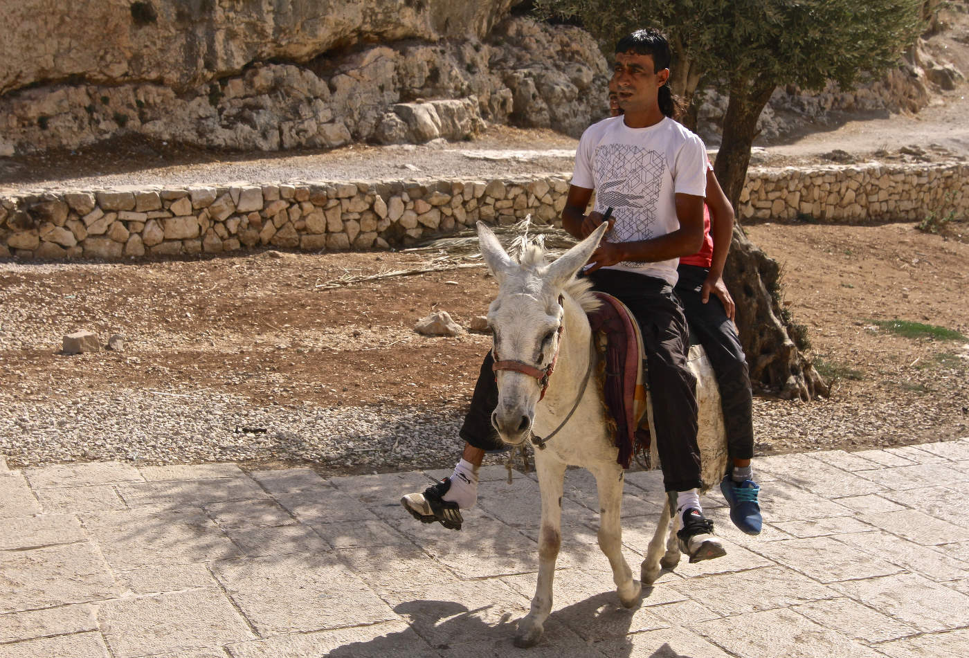 Вдвоём, на ослике...