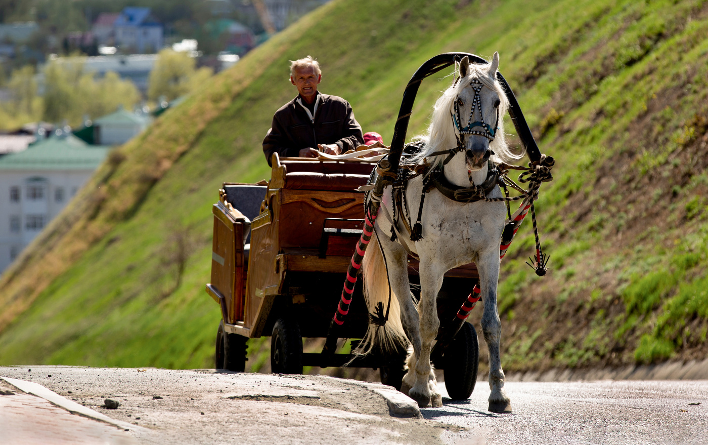 "Гужевой транспорт".