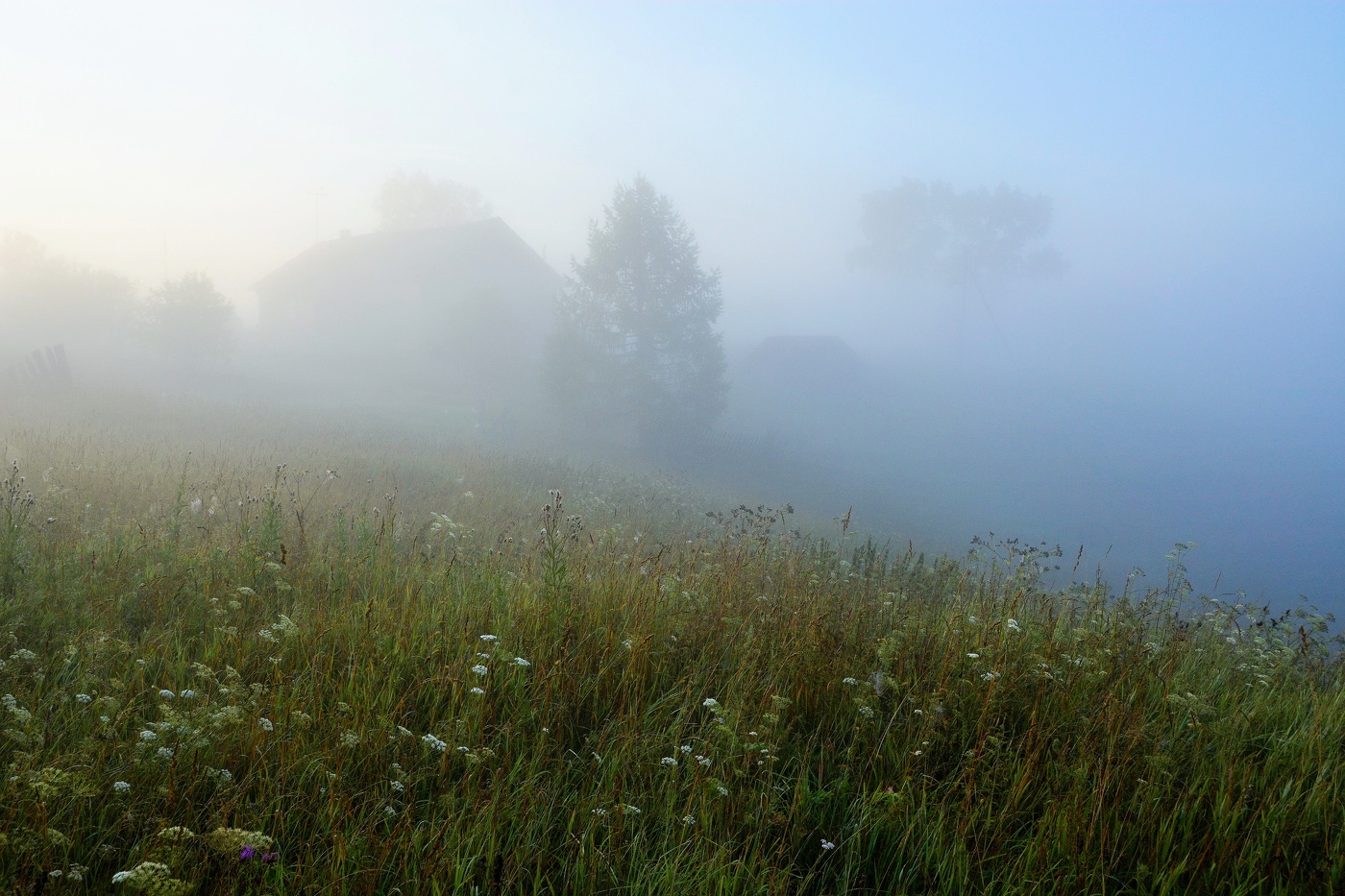 "Глухомань моя родная, что ж ты, душу бередишь..."