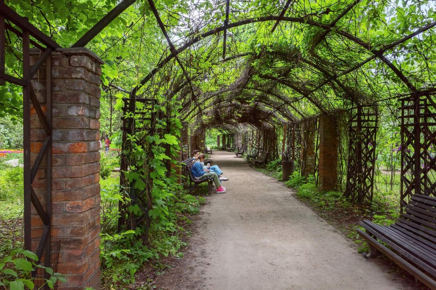В Аптекарском огороде