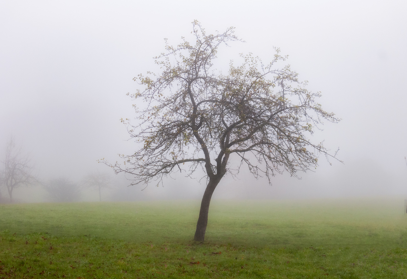 Осеннее одиночество