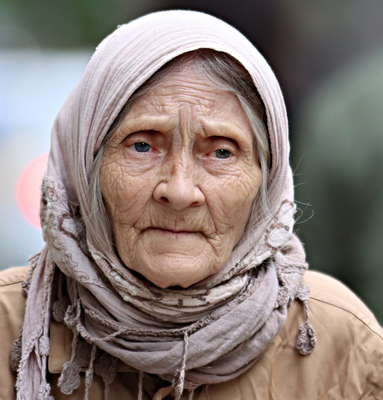 Город и его обитатели