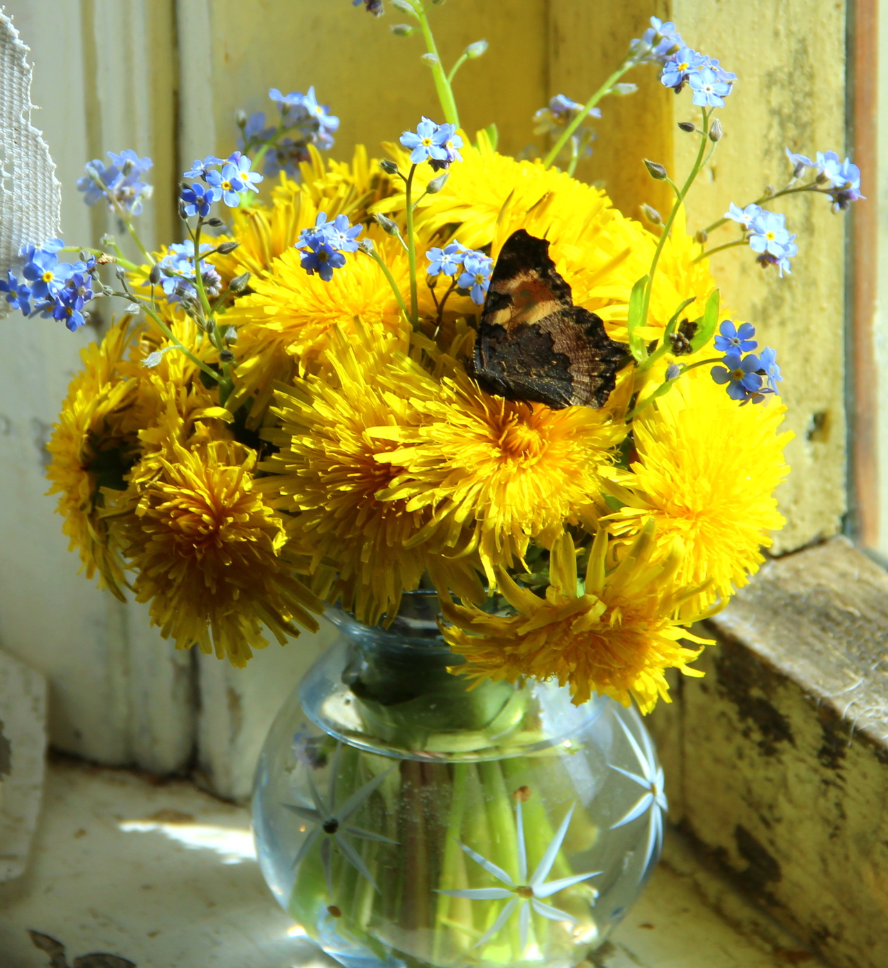 Натюрморт с бабочкой!