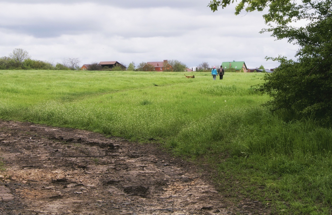 Незамысловатые сюжеты