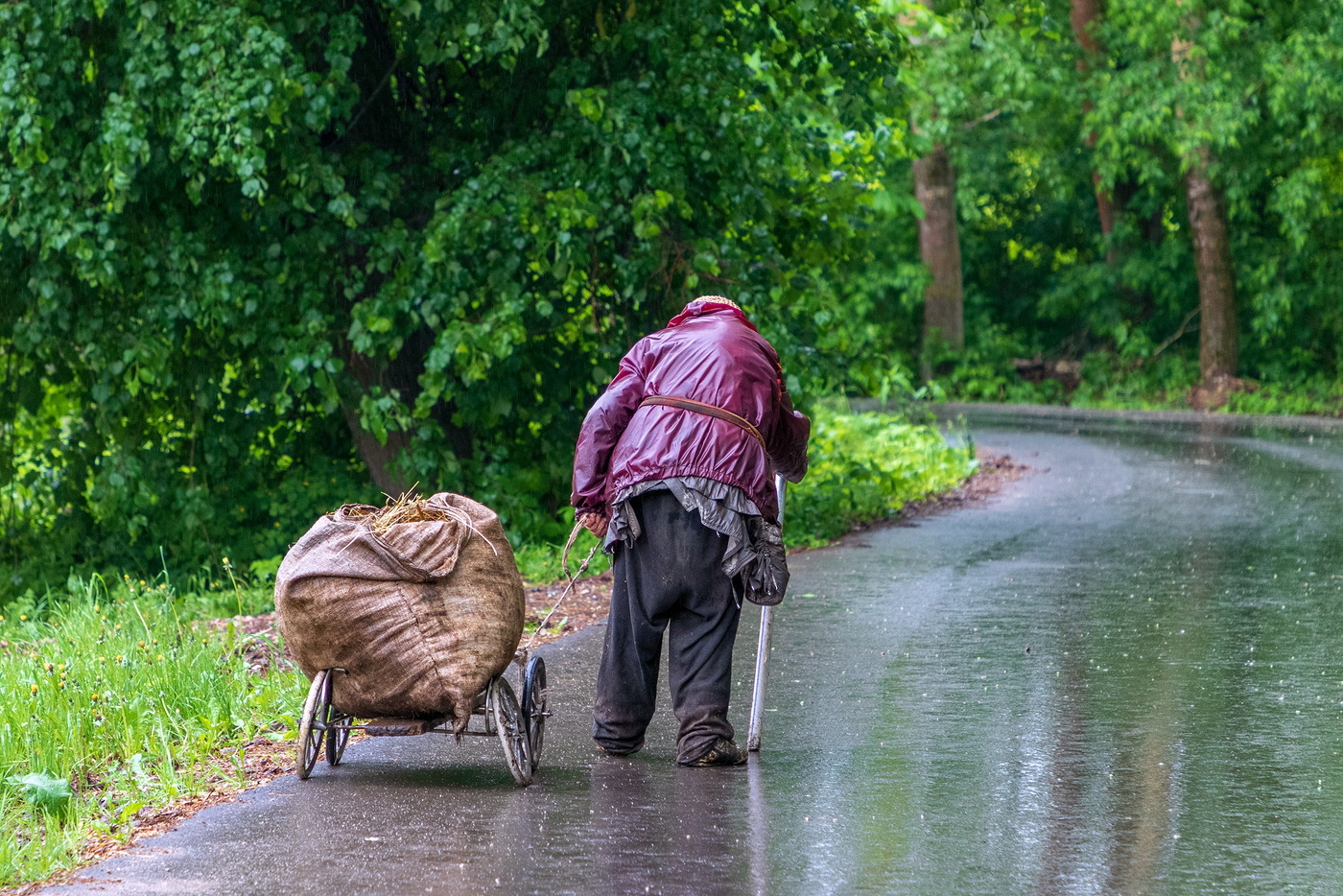 Катится тележка ...