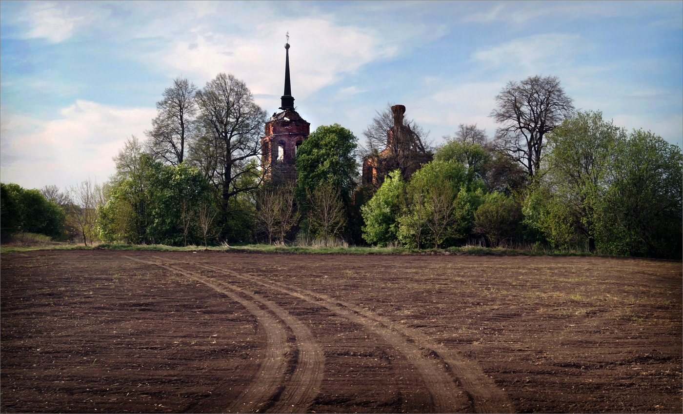 Весна в Алферьево