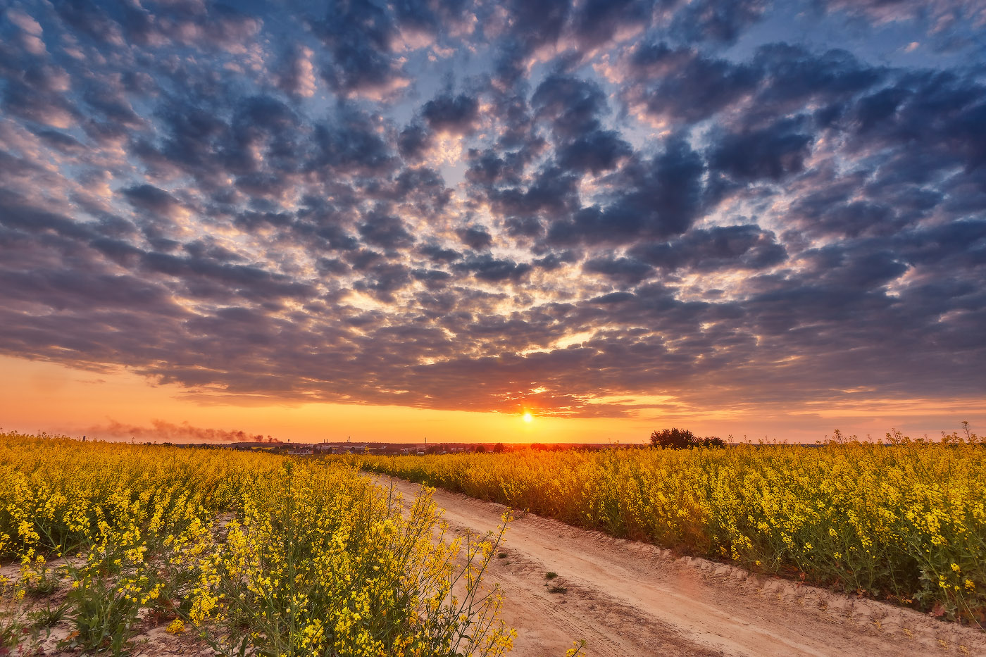 Майский закат