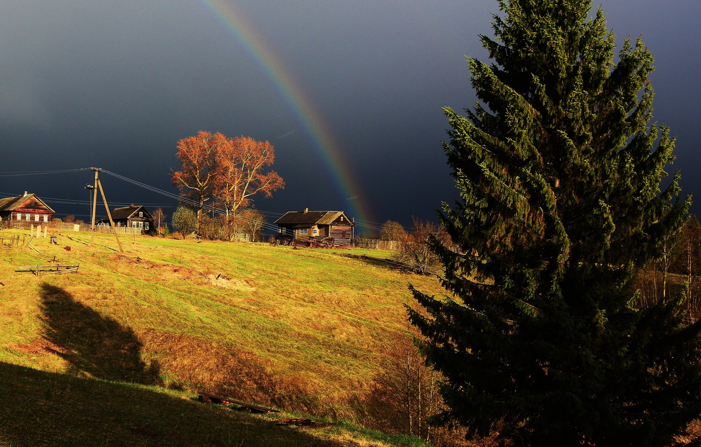После грозы ...