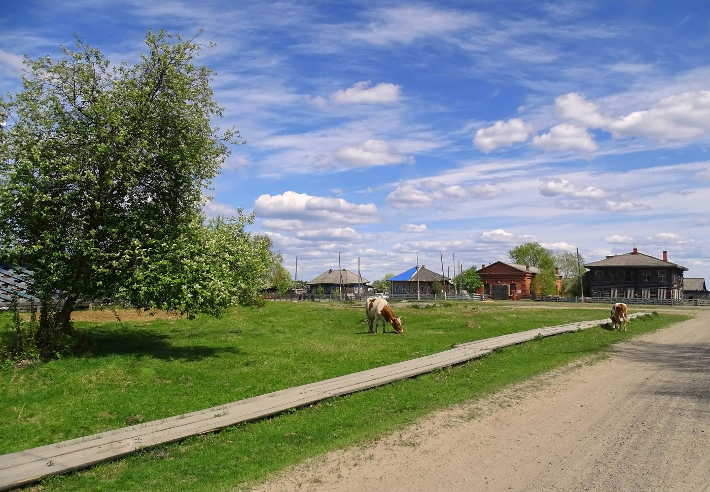 Деревенька моя...