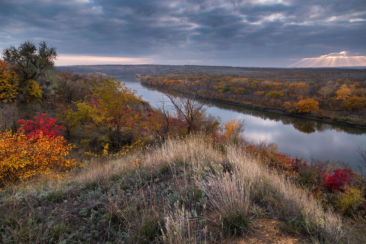 Немного осени