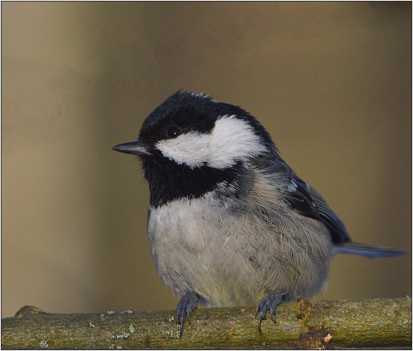 В сумме будет...