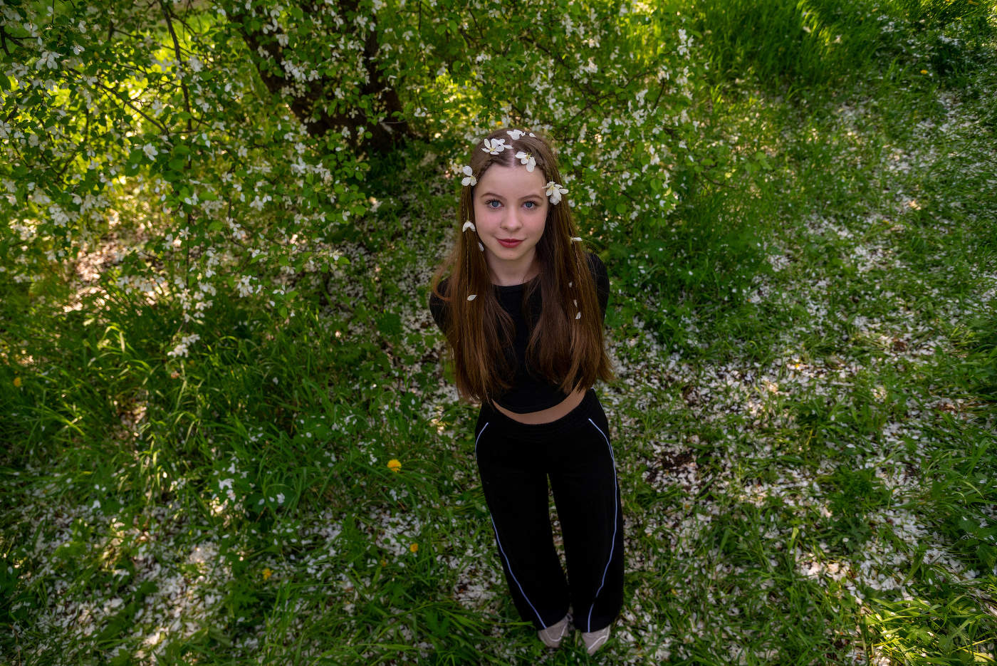 Когда осыпается яблонев цвет