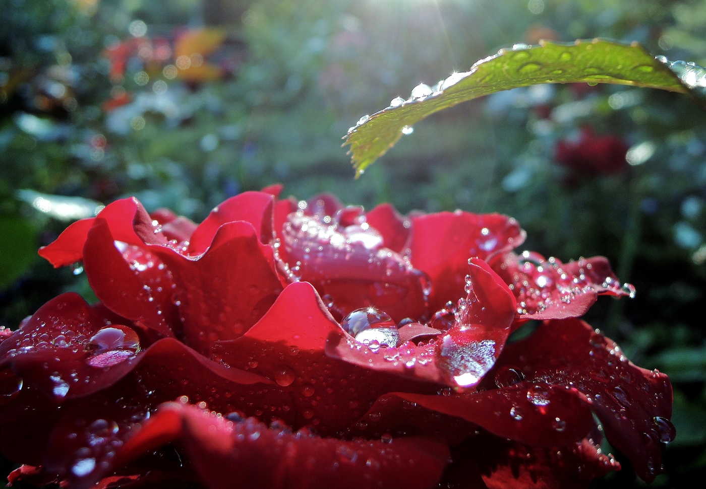 дождь и его истории