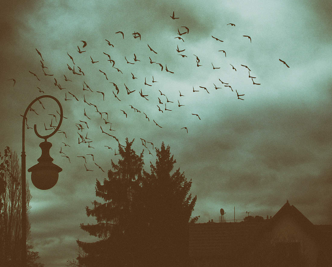 Пейзаж страха