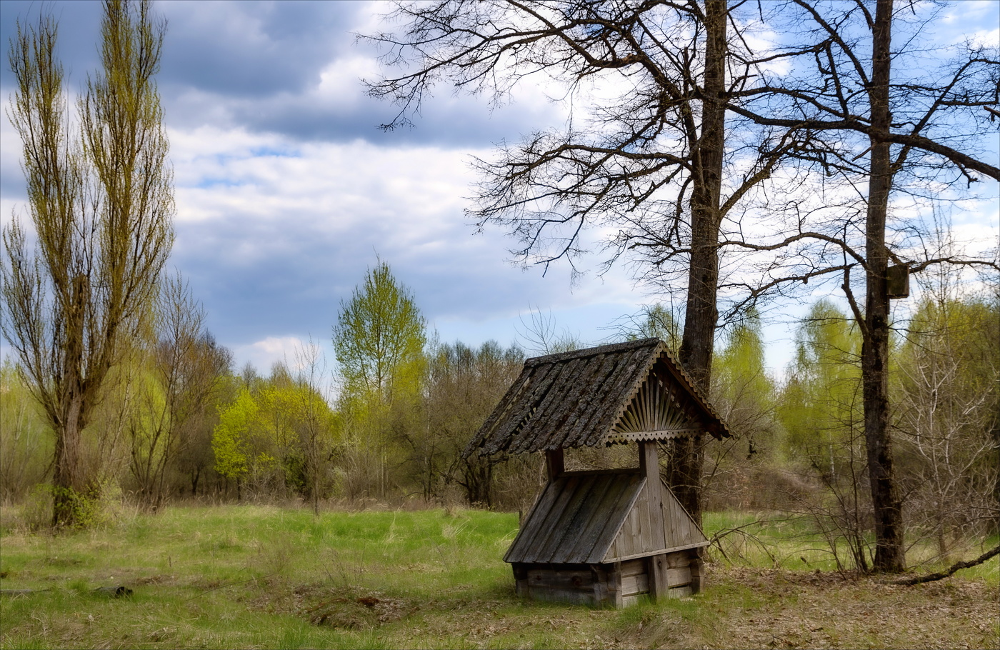 ВЕСНА БЕЗ ХОЗЯЕВ...
