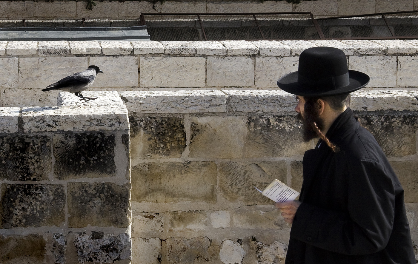 Обитатели земли обетованной - 8