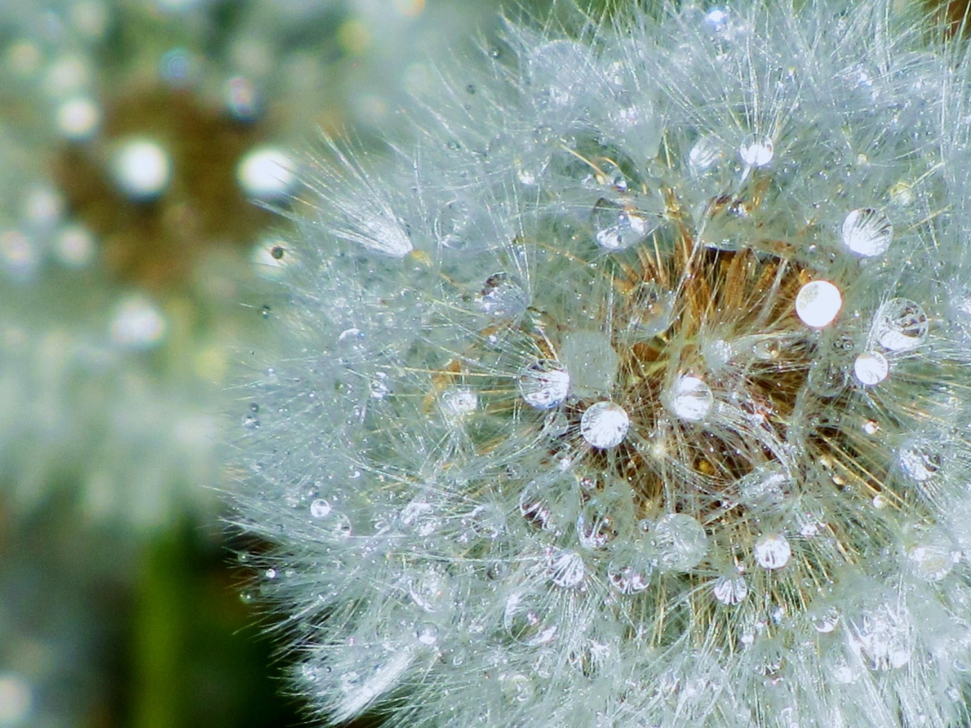 После дождя.