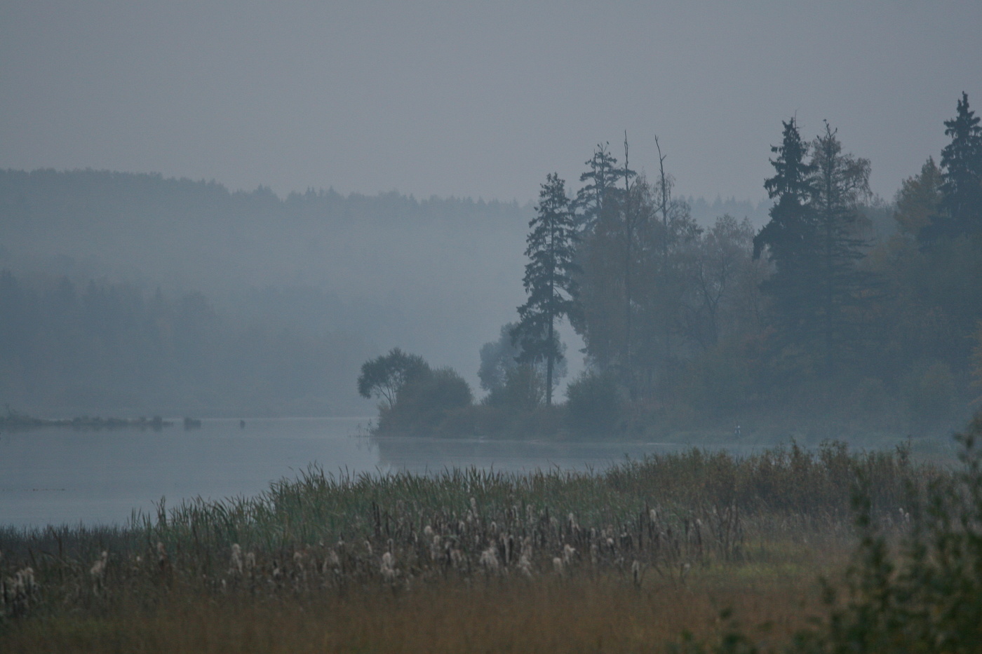 Утро на озере