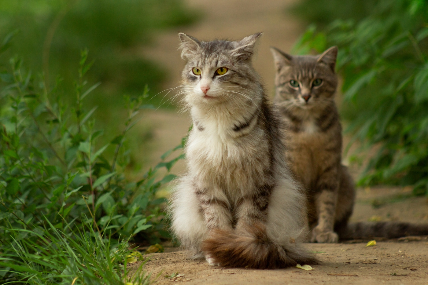 Родственные души -2