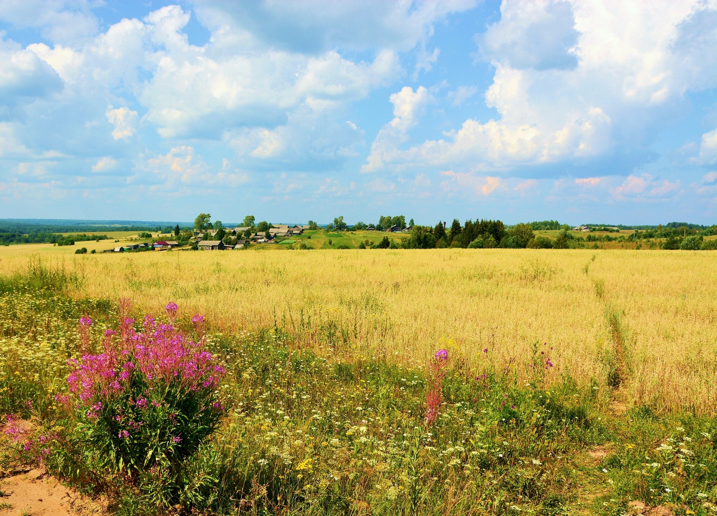 "Россиюшка, мне про тебя все ясно - ты просто несказанно хороша..."