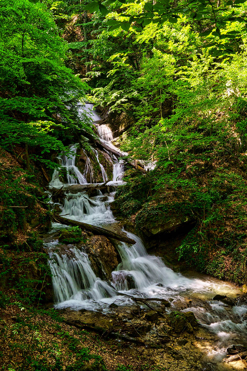 В урочище Хап-Хал
