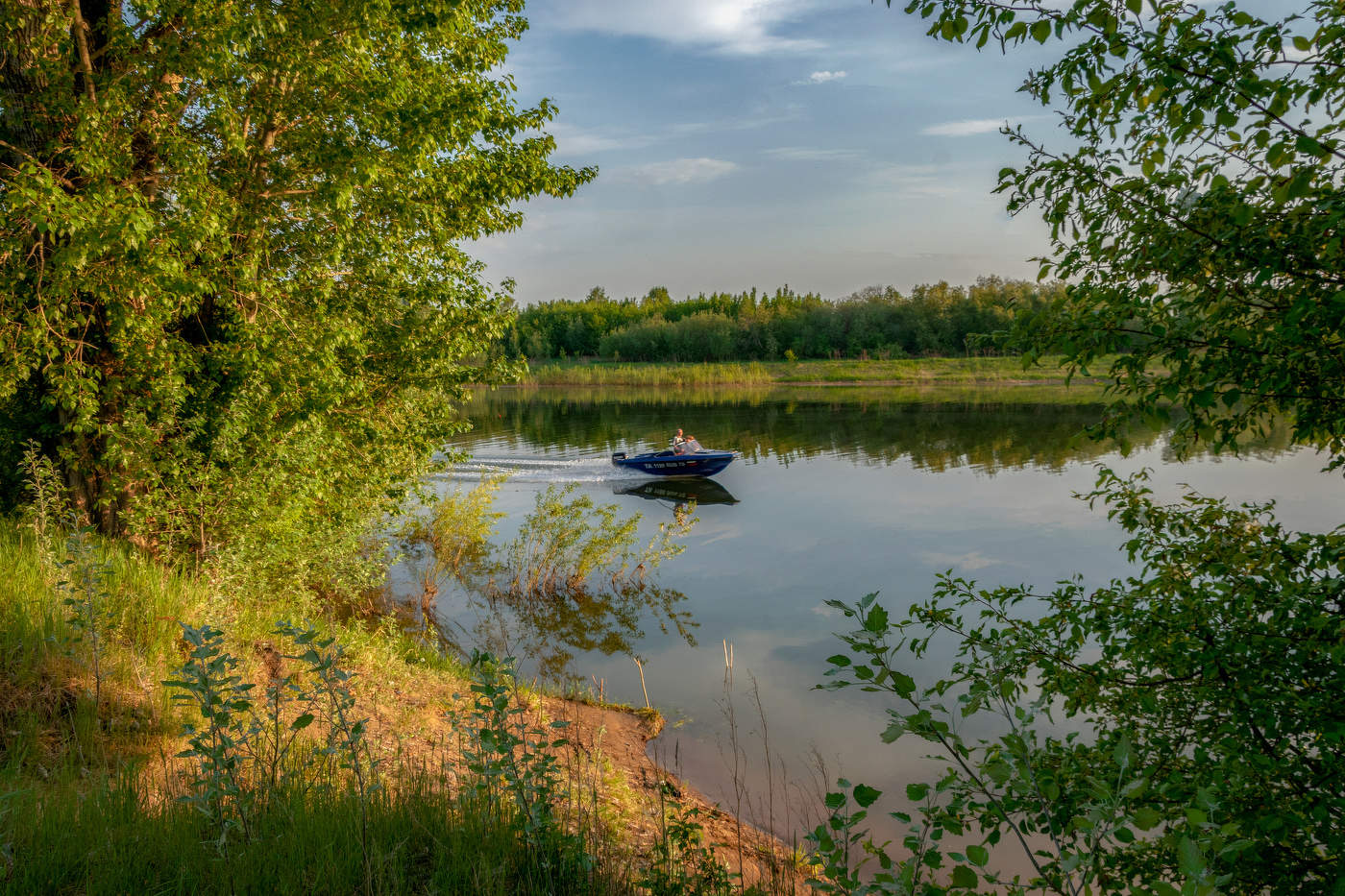 Летняя картинка...