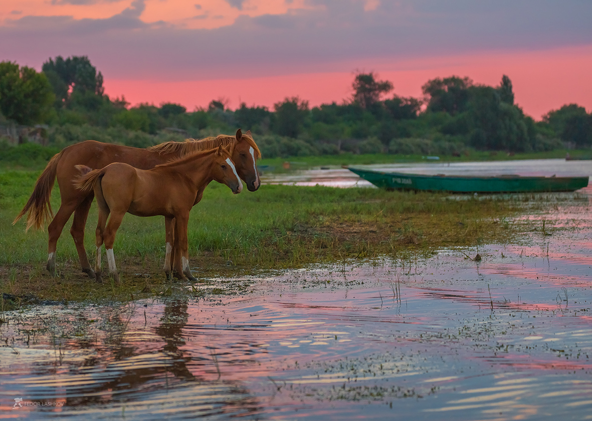 Заря на Волге