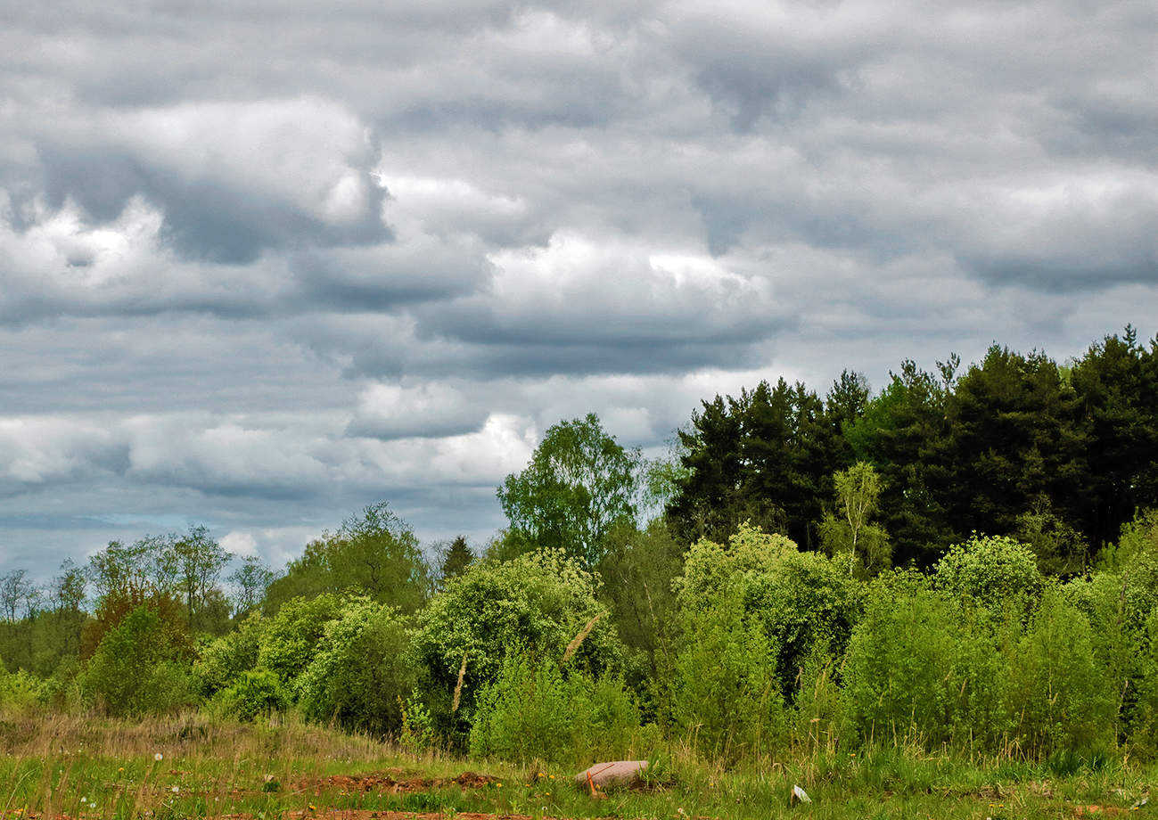 Майский пейзаж