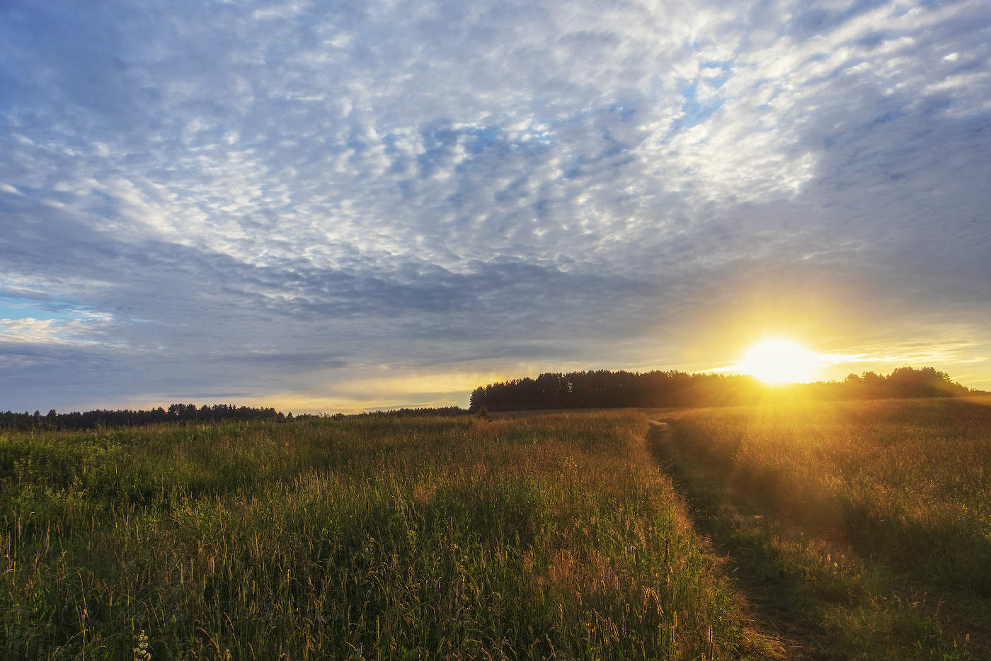 Дорога через луг