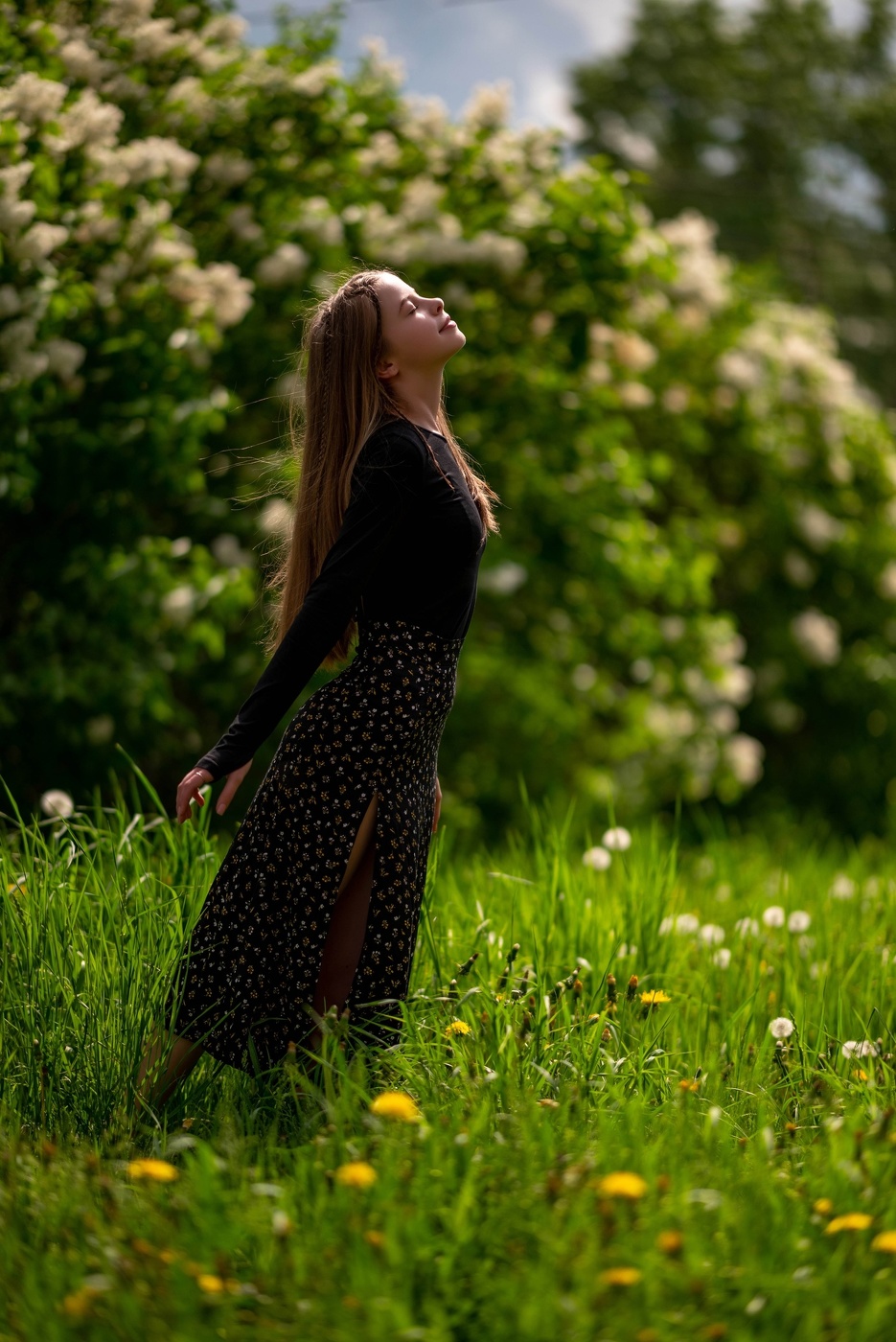 Белая сирень