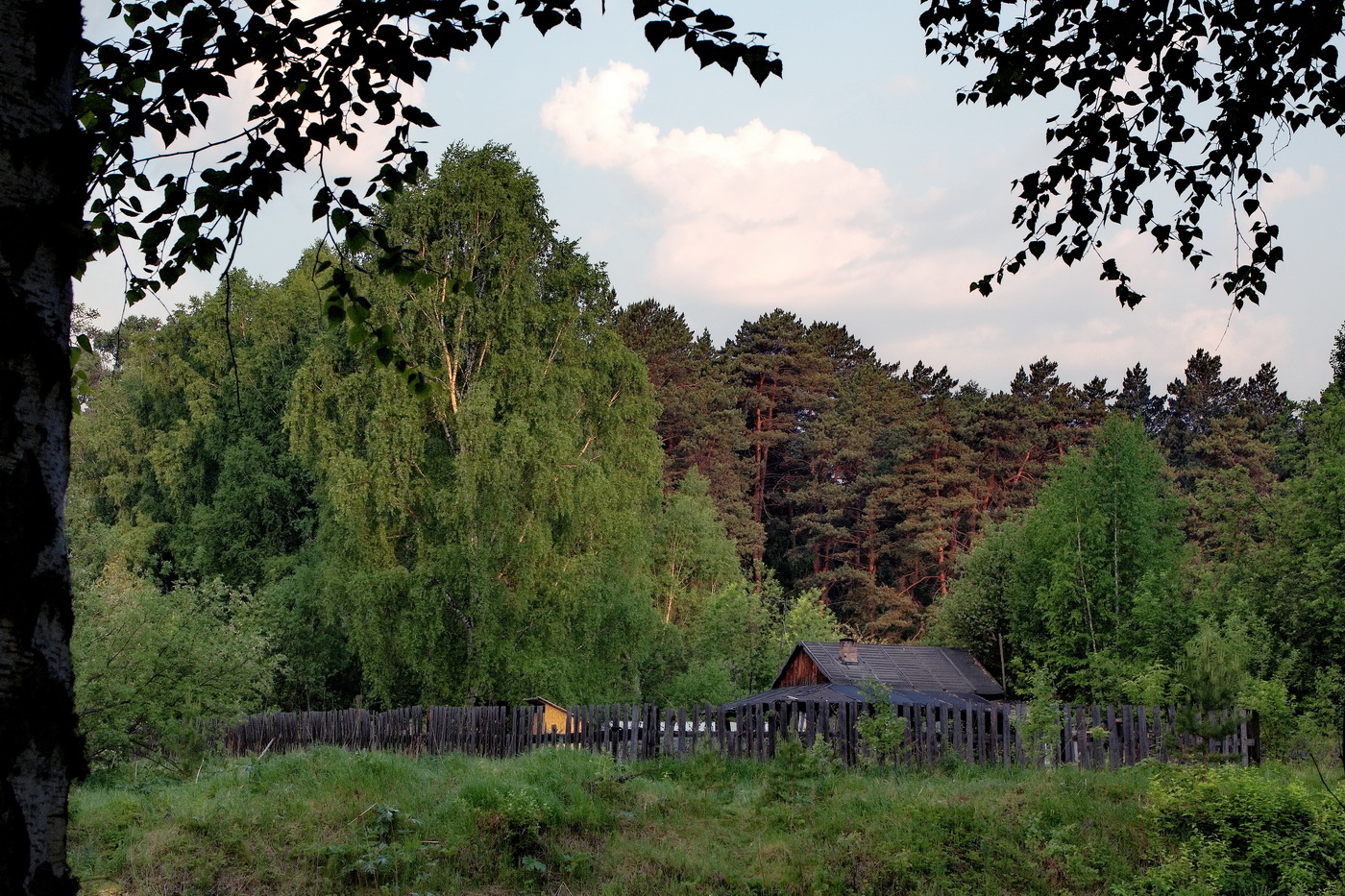 *Летнее утро.**