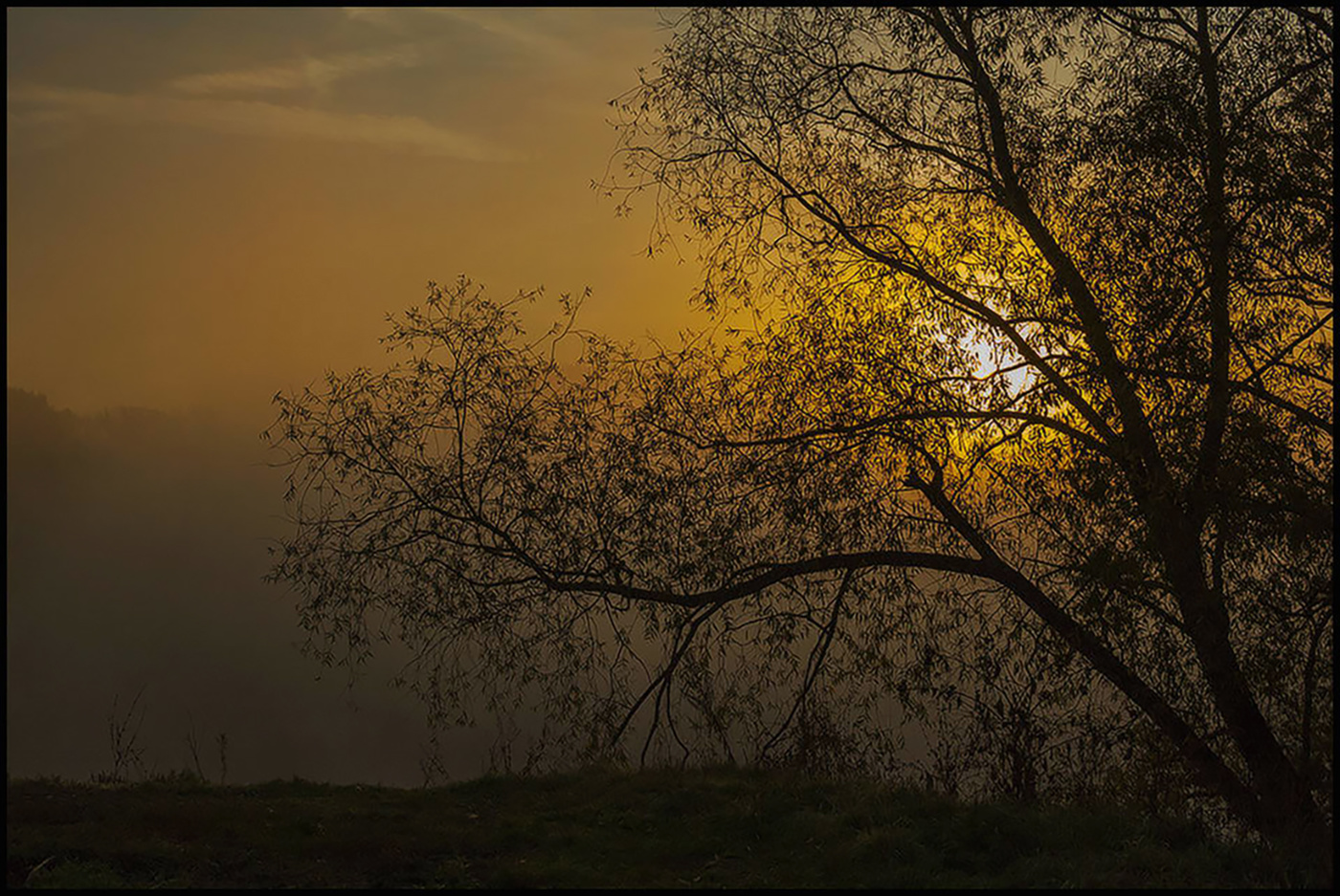 Утро туманное