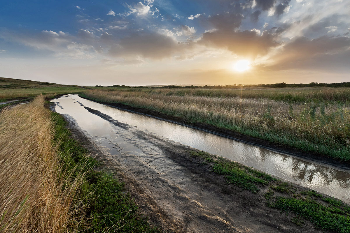 Дожди прошли