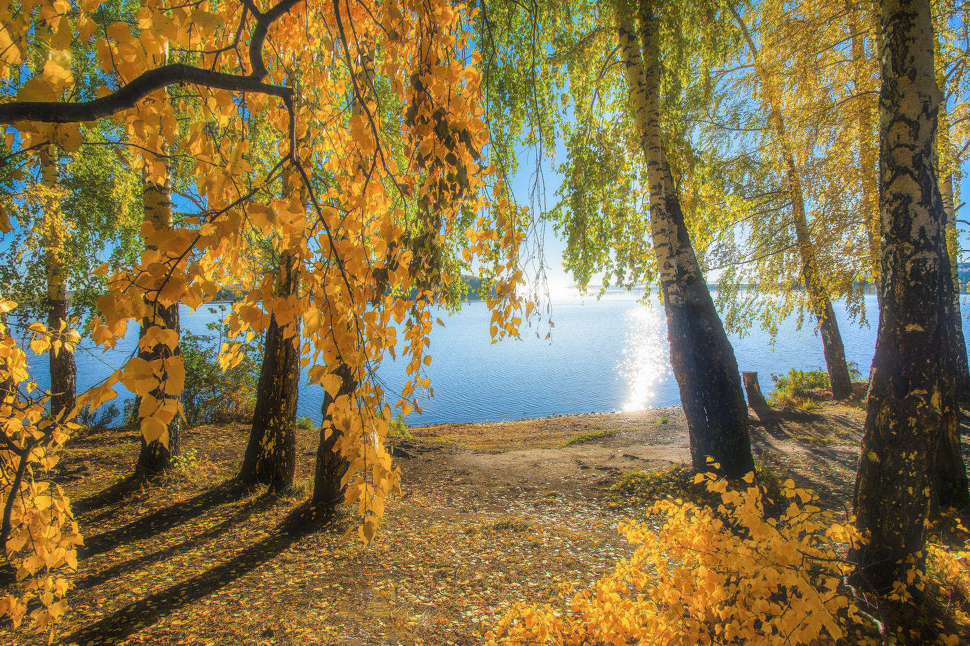 На озере осень